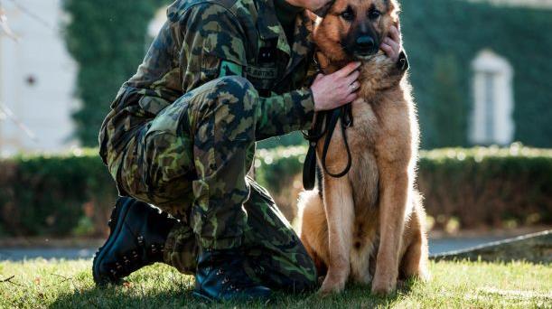 Βρετανίδα στρατιώτης σώζει εκπαιδευμένο σκύλο από την ευθανασία